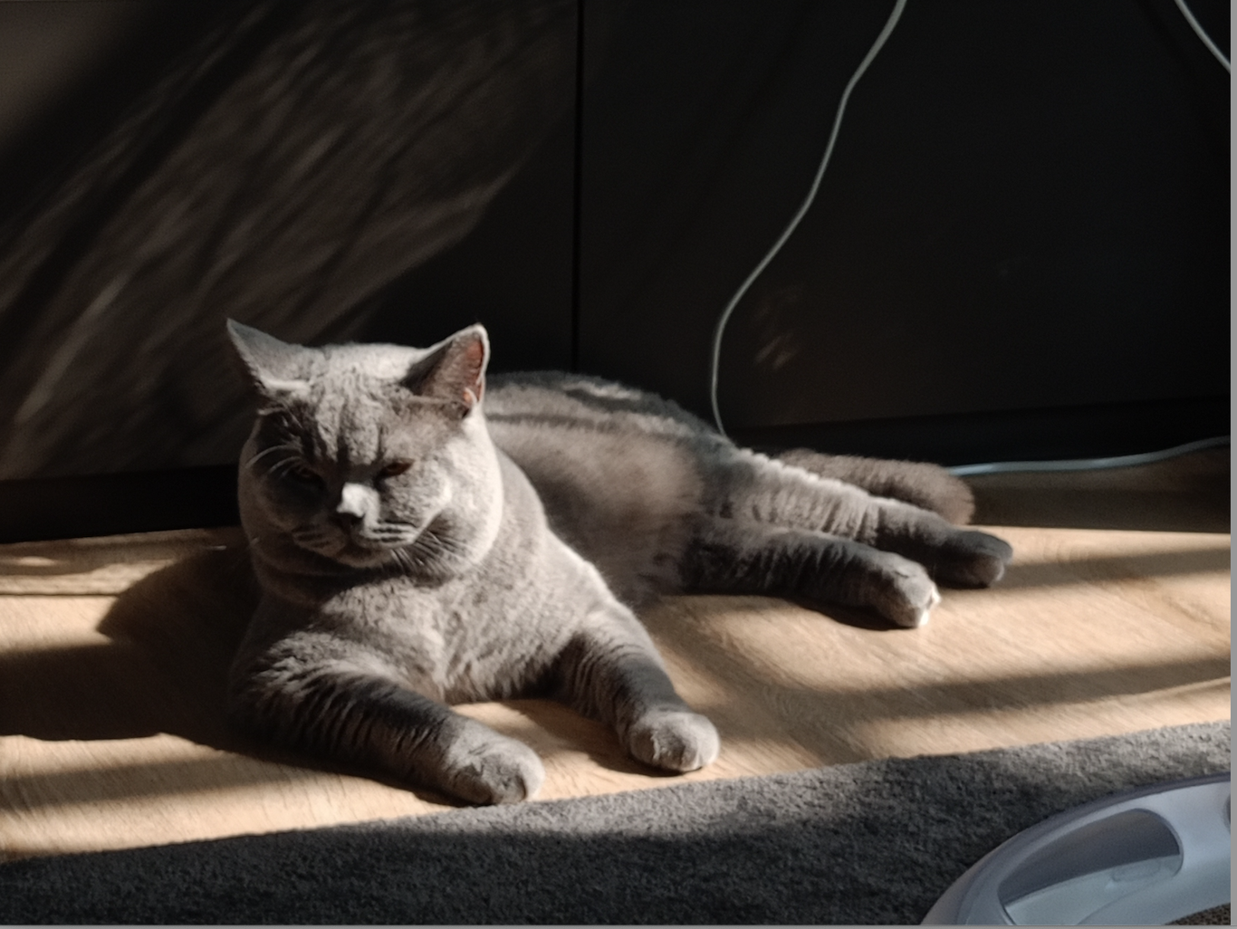 KannakateLand's Brooklyn Mangkud